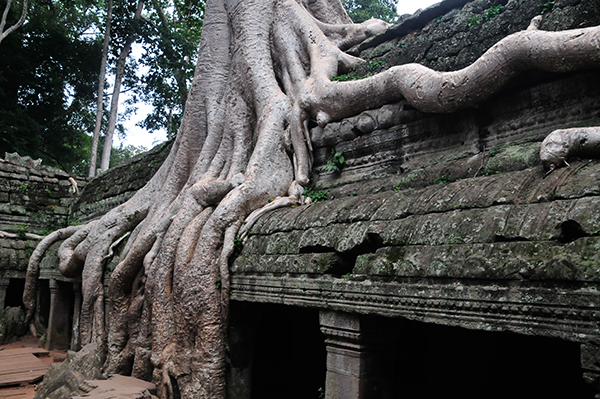 Cambodja2