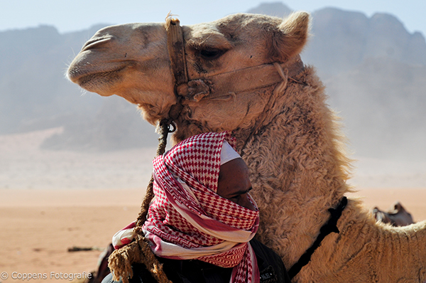 jordanie3