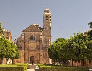 _DSC3075 600