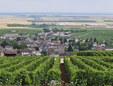Champagne, Oger
