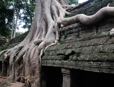 Cambodja